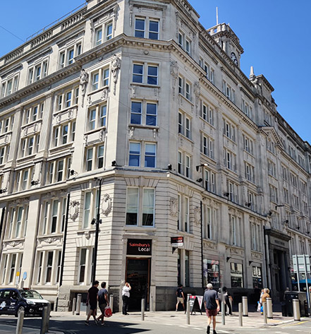 Big Fish Building Consultancy, Core Services