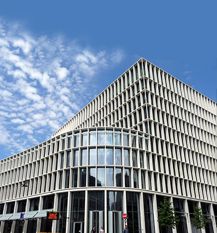 Big Fish Building Consultancy, Core Services